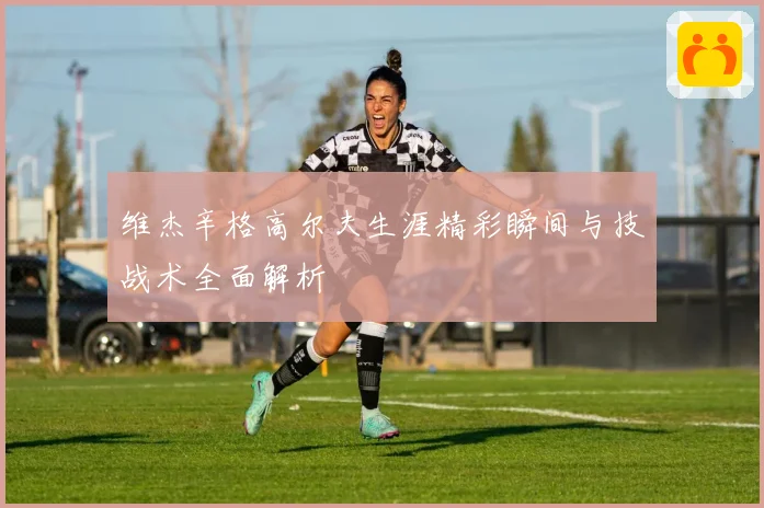 维杰辛格高尔夫生涯精彩瞬间与技战术全面解析