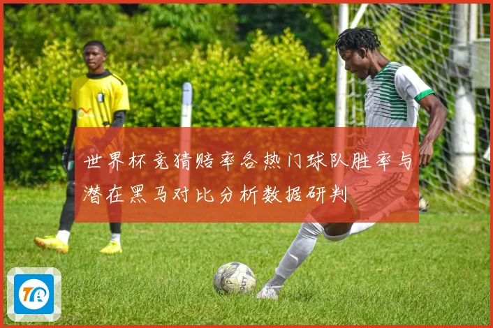 世界杯竞猜赔率各热门球队胜率与潜在黑马对比分析数据研判
