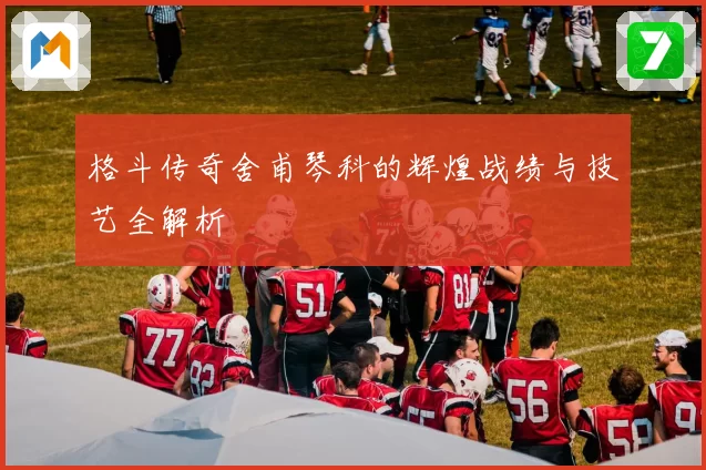 格斗传奇舍甫琴科的辉煌战绩与技艺全解析