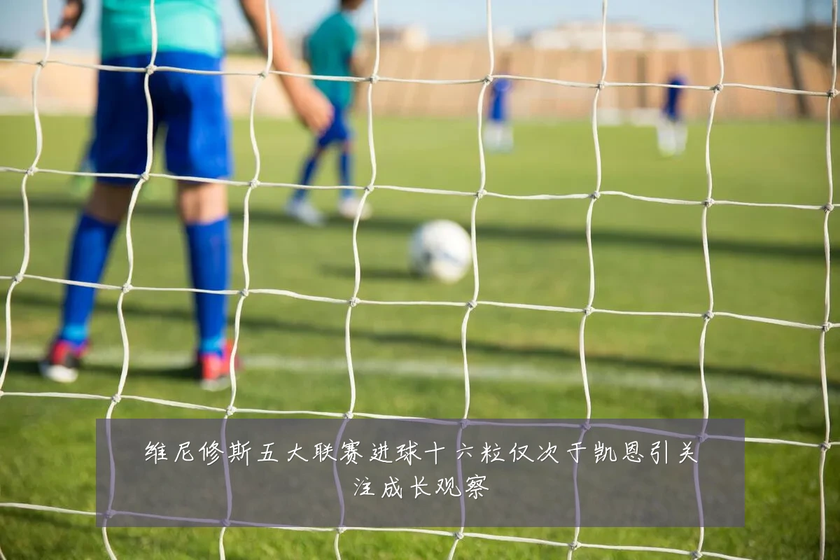 维尼修斯五大联赛进球十六粒仅次于凯恩引关注成长观察