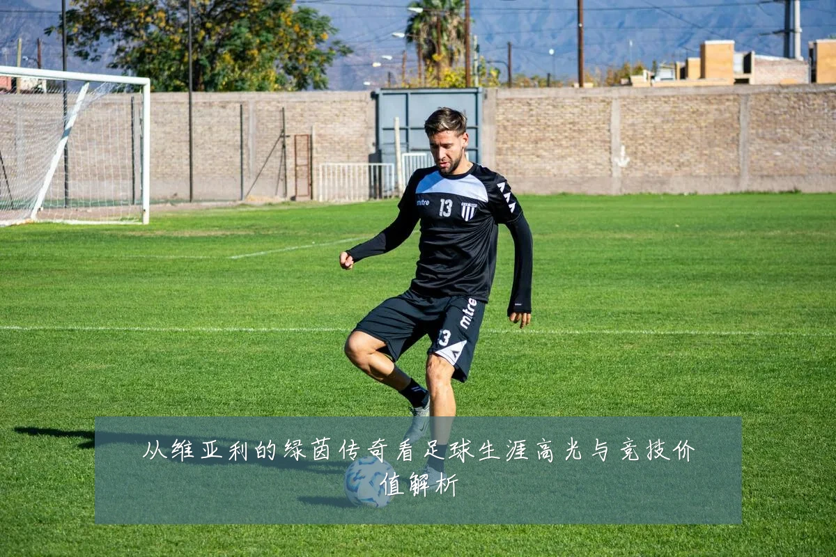 从维亚利的绿茵传奇看足球生涯高光与竞技价值解析
