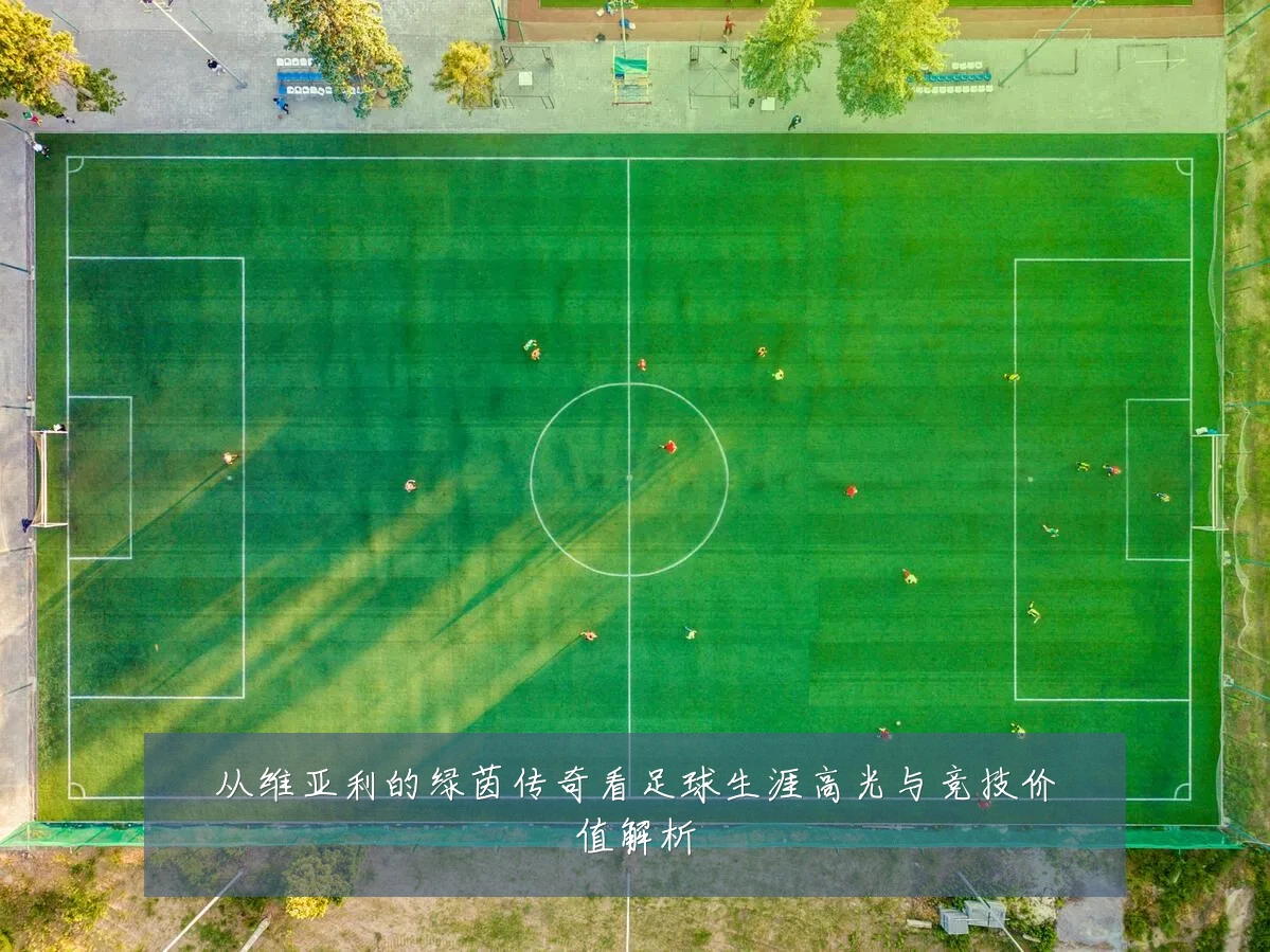 从维亚利的绿茵传奇看足球生涯高光与竞技价值解析